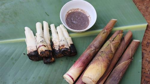 Đậm đà món măng rừng nướng chẩm chéo ở vùng Tây Bắc