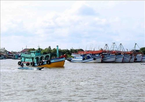 Khuyến cáo ngư dân thực hiện các quy định khắc phục "thẻ vàng" IUU