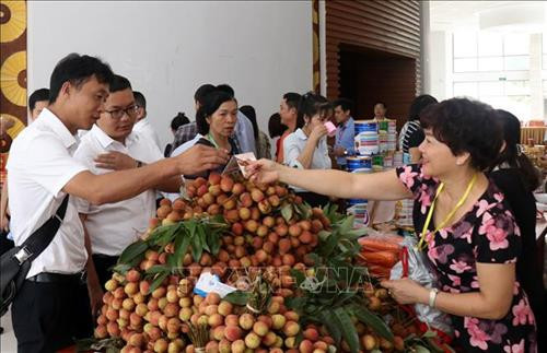 Lợi ích kép từ mô hình tiêu thụ nông sản và cung ứng vật tư nông nghiệp