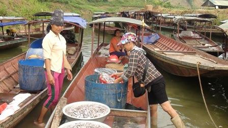Phát triển mô hình chế biến nước mắm từ cá nước ngọt lòng hồ sông Đà