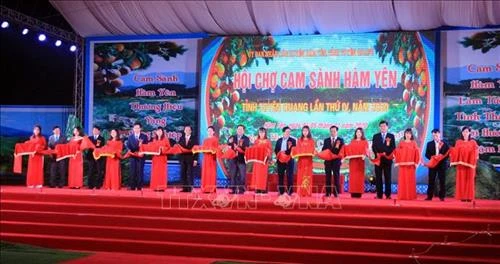 Tưng bừng Hội chợ cam sành Hàm Yên năm 2020