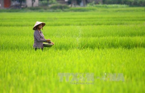 Phê duyệt điều chỉnh Quy hoạch tổng thể phát triển kinh tế - xã hội tỉnh Yên Bái