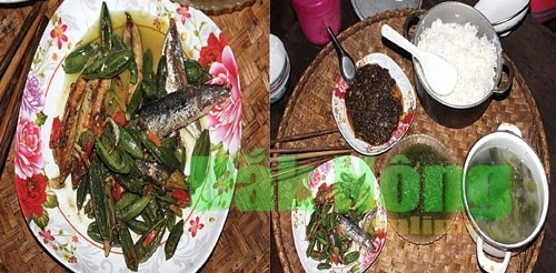 Món ngon từ cây rừng của người M’nông