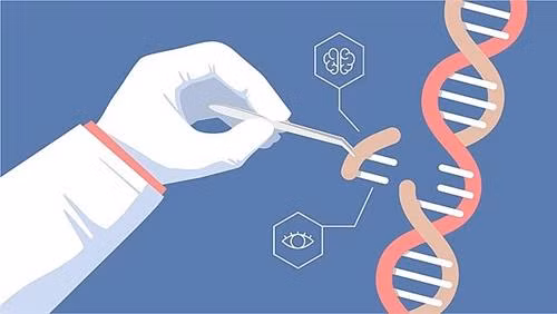 Cột mốc mới trong ứng dụng kỹ thuật chỉnh sửa gene CRISPR chống ung thư