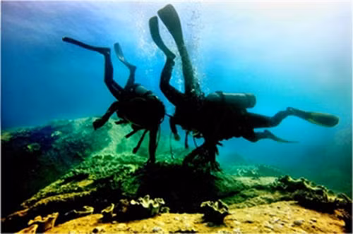 Khám phá Hòn Câu, ngỡ ngàng trước “thế giới” sinh vật biển