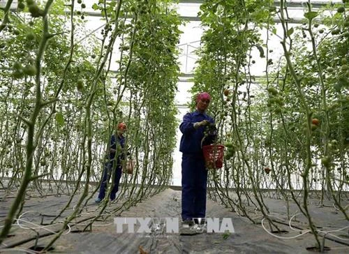 Hội thảo "Kinh nghiệm phát triển nông nghiệp, nông dân, nông thôn của Nhật Bản – Những bài học từ thực tiễn”