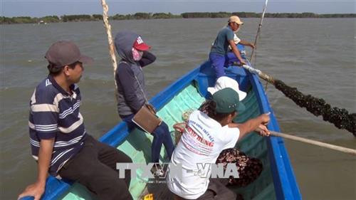 Lựa chọn ngành hàng chủ lực thúc đẩy thành lập hợp tác xã chuyên ngành