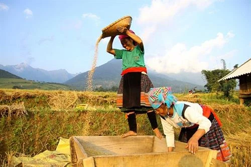 Phát huy hiệu quả mô hình liên kết cùng phát triển kinh tế vùng đồng bào dân tộc huyện Đăk Đoa