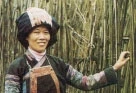 Người Bố Y