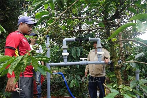 Đắk Nông hỗ trợ nông dân lắp đặt hệ thống tưới nhỏ giọt