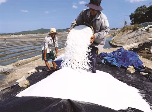 Tìm hướng tháo gỡ khó khăn cho diêm dân