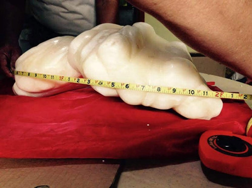 Một ngư dân Philippines tìm thấy khối ngọc trai nặng 34kg