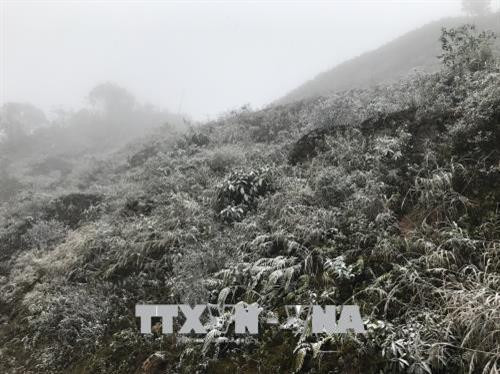 Tuyết phủ trắng núi rừng Sa Pa