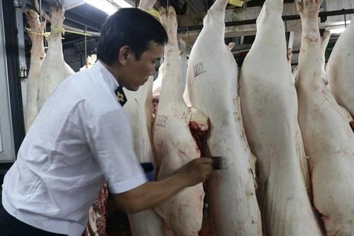 Long An kiểm soát dịch bệnh tại các lò giết mổ gia súc