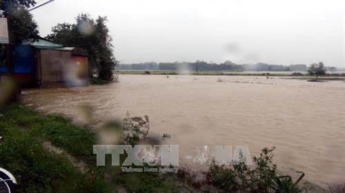 Liên Hợp Quốc dành hơn 4 triệu đô la Mỹ giúp Việt Nam