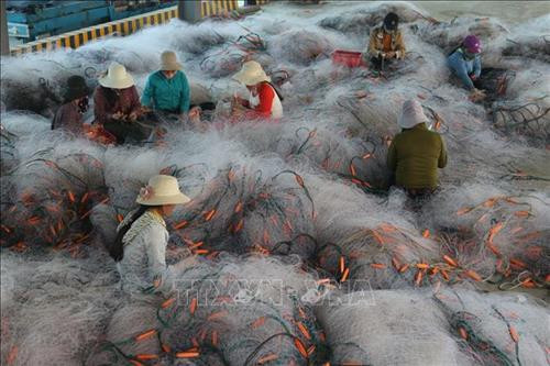 Nghệ An thực hiện Chương trình 135 hiệu quả