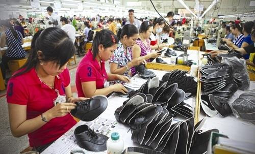 Tỉnh Trà Vinh giúp người lao động nghèo có thêm việc làm