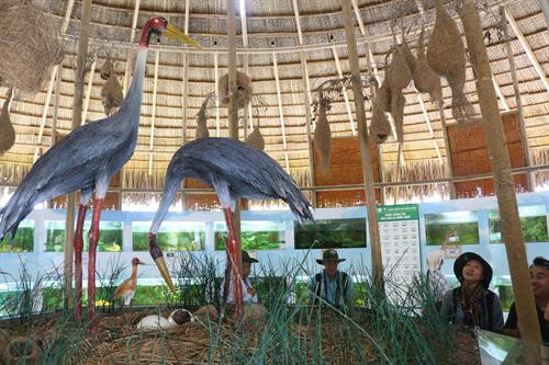 Đồng Tháp tổ chức Tour tham quan trải nghiệm mùa nước nổi ở Vườn Quốc gia Tràm Chim