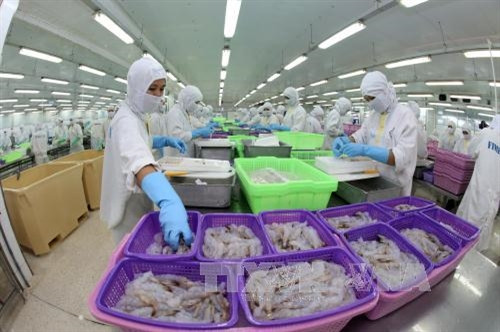 Việt Nam và Hoa Kỳ ký thỏa thuận về chống bán phá giá tôm