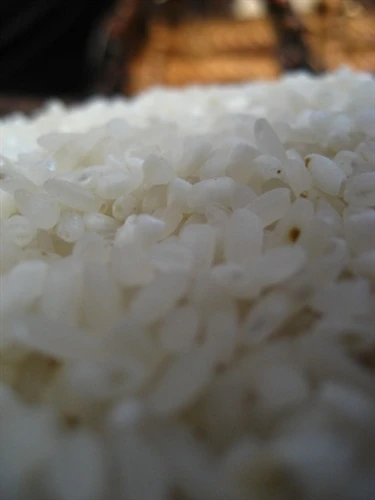 Dẻo thơm nếp Tú Lệ