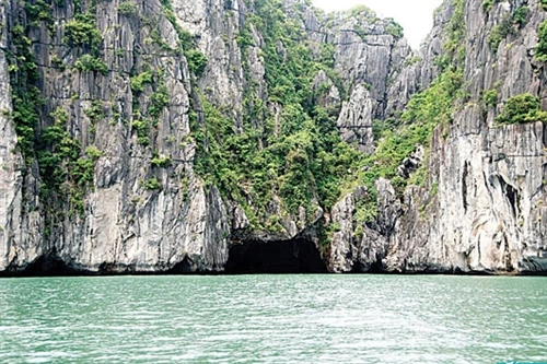 Đảo Chim