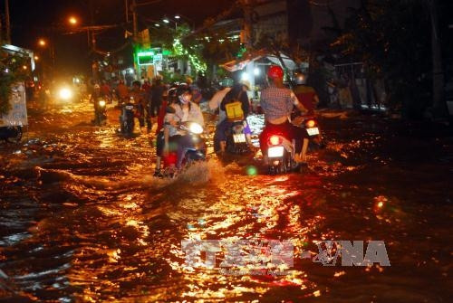 Thành phố Hồ Chí Minh chủ động ứng phó với triều cường vượt mức báo động 3