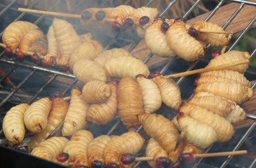 Đuông dừa - Đặc sản kinh dị khó xơi