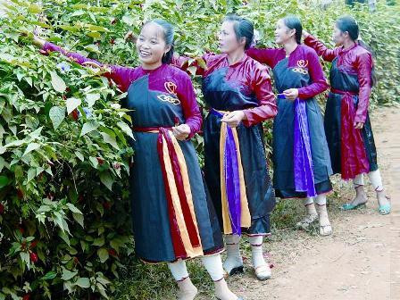 Hai bức tranh "Thần Nông và Địa Trạch" của người Cao Lan - Sán Chỉ