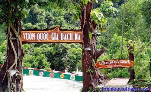 Bảo tồn đa dạng sinh học Vườn Quốc gia Bạch Mã (Bài 1)