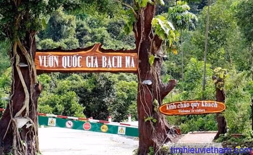 Bảo tồn đa dạng sinh học Vườn Quốc gia Bạch Mã (Bài 1)