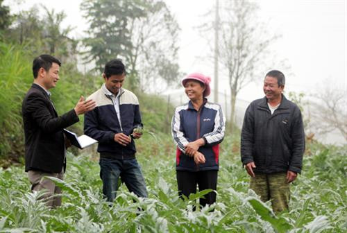 Dự án 600 Phó Chủ tịch xã: Những hạt giống đỏ trên vùng đất khó (Bài 5)