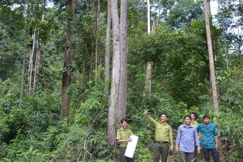 Huyện biên giới Ia H'Drai nỗ lực bảo vệ rừng trong tháng cao điểm khô hạn