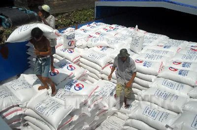Xuất khẩu gạo: Lấy nhu cầu thị trường định hướng sản xuất