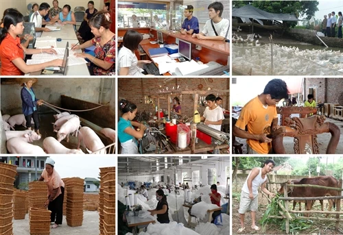 Nhìn lại một năm thực hiện tín dụng chính sách của Ngân hàng Chính sách Xã hội