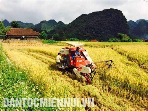 Phát huy vai trò mặt trận trong xây dựng Nông thôn mới, đô thị văn minh