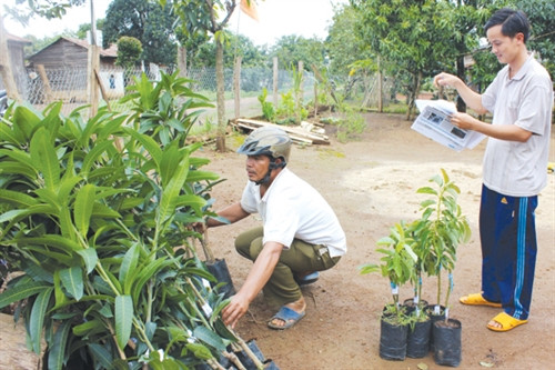 Chống tái nghèo trong đồng bào dân tộc thiểu số ở Đắk Nông
