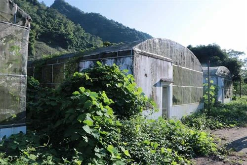 Nhiều vườn ươm ở Bắc Kạn hoạt động không hiệu quả