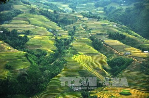 Đặc sắc Lễ hội mùa hè Sa Pa