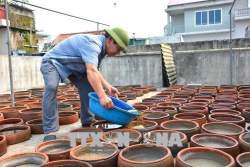 45.000 tỷ đồng thực hiện Chương trình Mỗi xã một sản phẩm