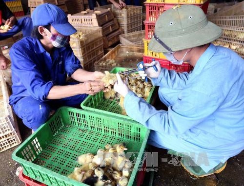 Hoàn thiện chính sách thu hút đầu tư vào nông nghiệp