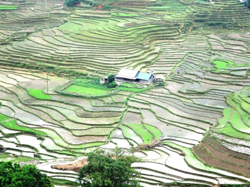 Ruộng bậc thang Tây Bắc mùa nước đổ