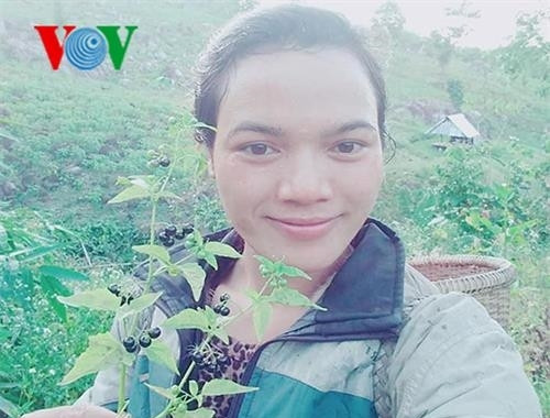 Khởi nghiệp từ cây trồng bản địa