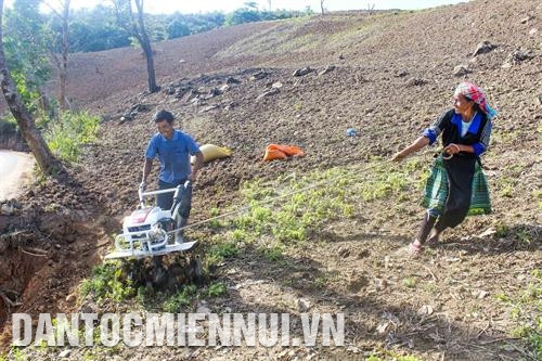 Hỗ trợ sản xuất từ Chương trình 135 giúp giảm hộ nghèo ở Điện Biên