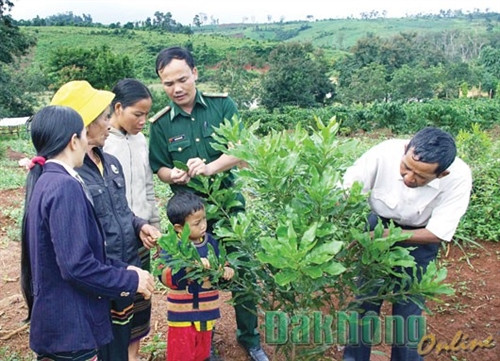 “Lũy thép” nơi biên cương