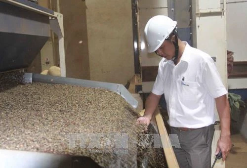 Đắk Lắk mở rộng áp dụng cơ giới hóa trong sản xuất nông nghiệp