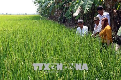 Kiên Giang phát triển mô hình hợp tác xã kiểu mới