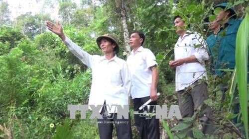 Hiệu quả từ chính sách chi trả dịch vụ môi trường rừng ở huyện Quỳnh Nhai
