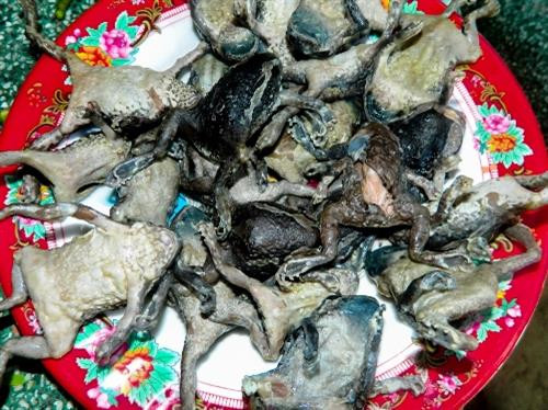 Kẻ sợ người mê đặc sản của người Chăm ở Ninh Thuận