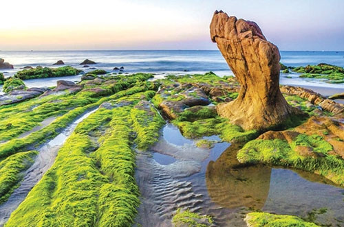 Thiên đường Cổ Thạch mùa rêu