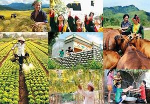 Xây dựng chuẩn nghèo đa chiều